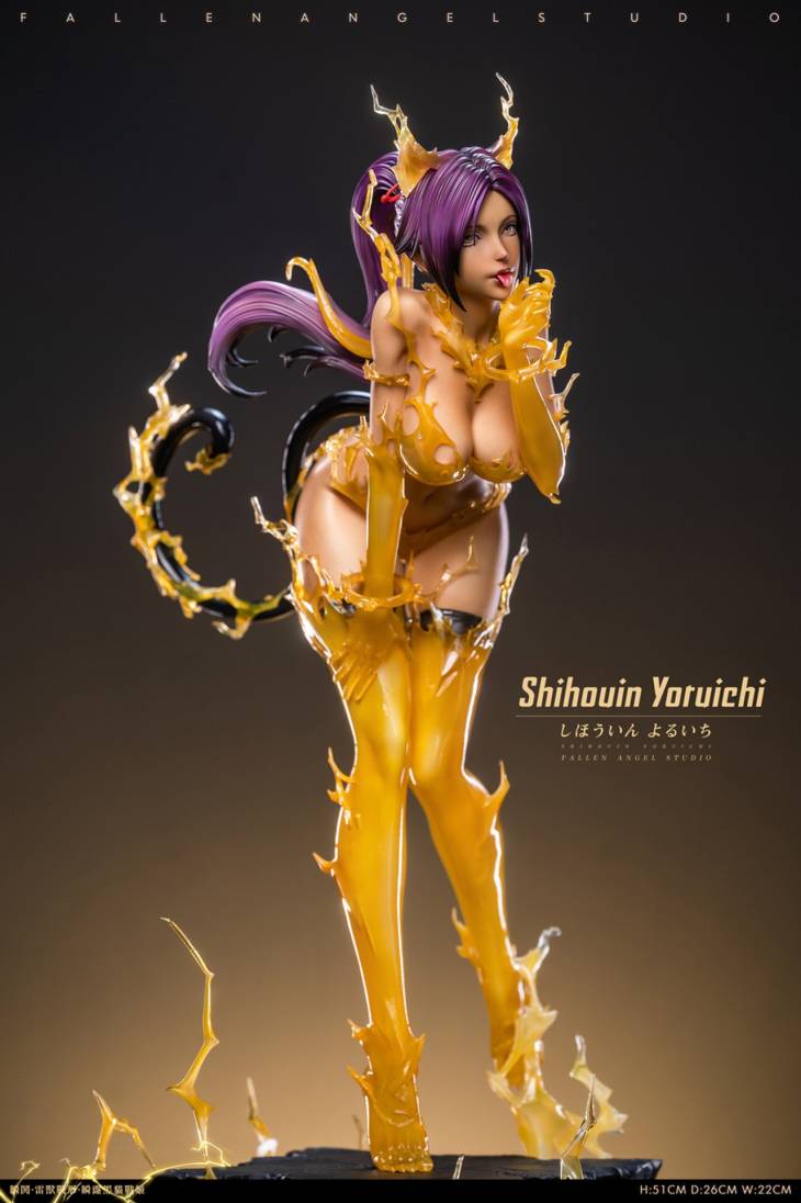 FA - Yoruichi - Image 20