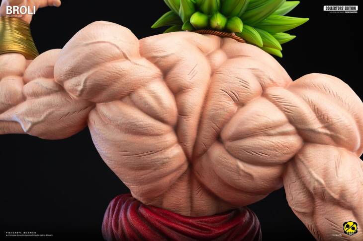 2% - Broly - Image 6