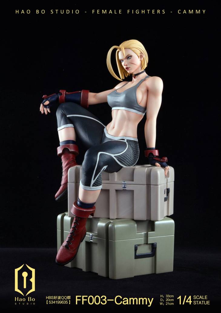Haobo - Cammy - Image 3