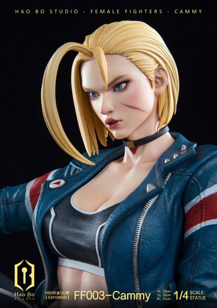 Haobo - Cammy - Image 2