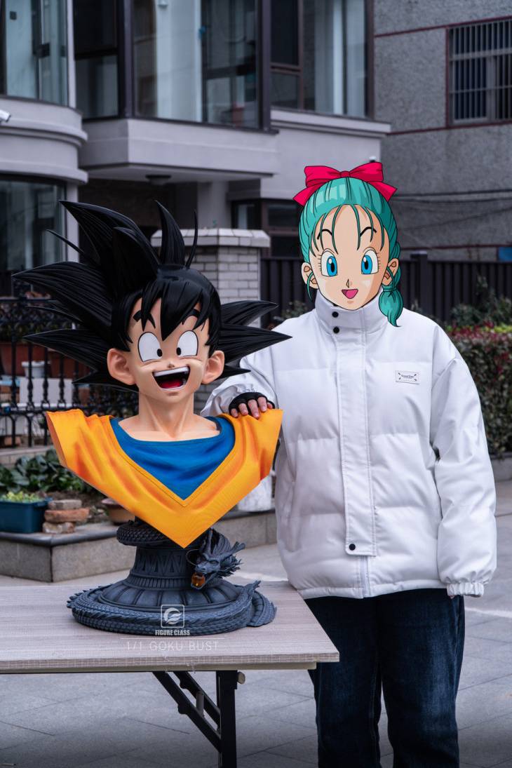 Figure Class - Goku - Image 3