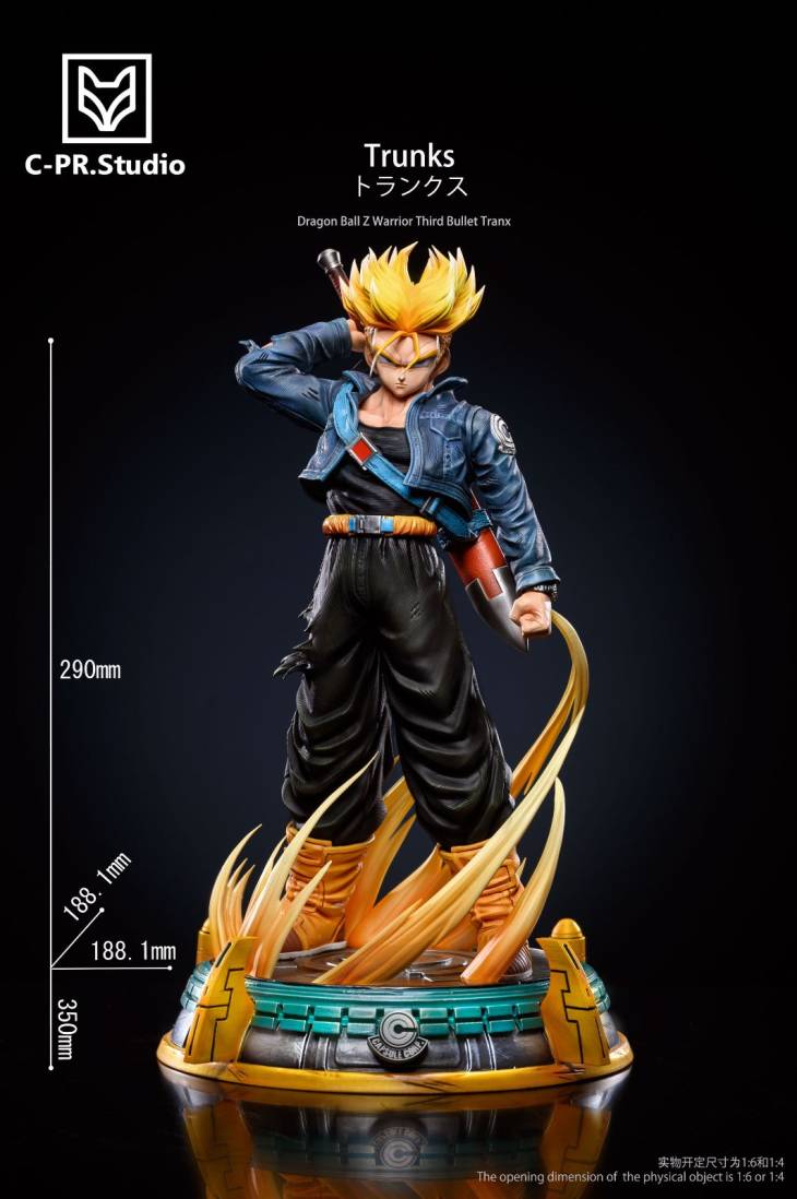 CPR - Trunks - Image 7