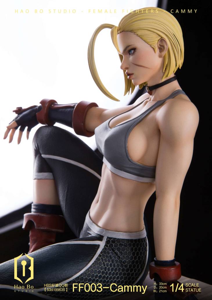 Haobo - Cammy - Image 11