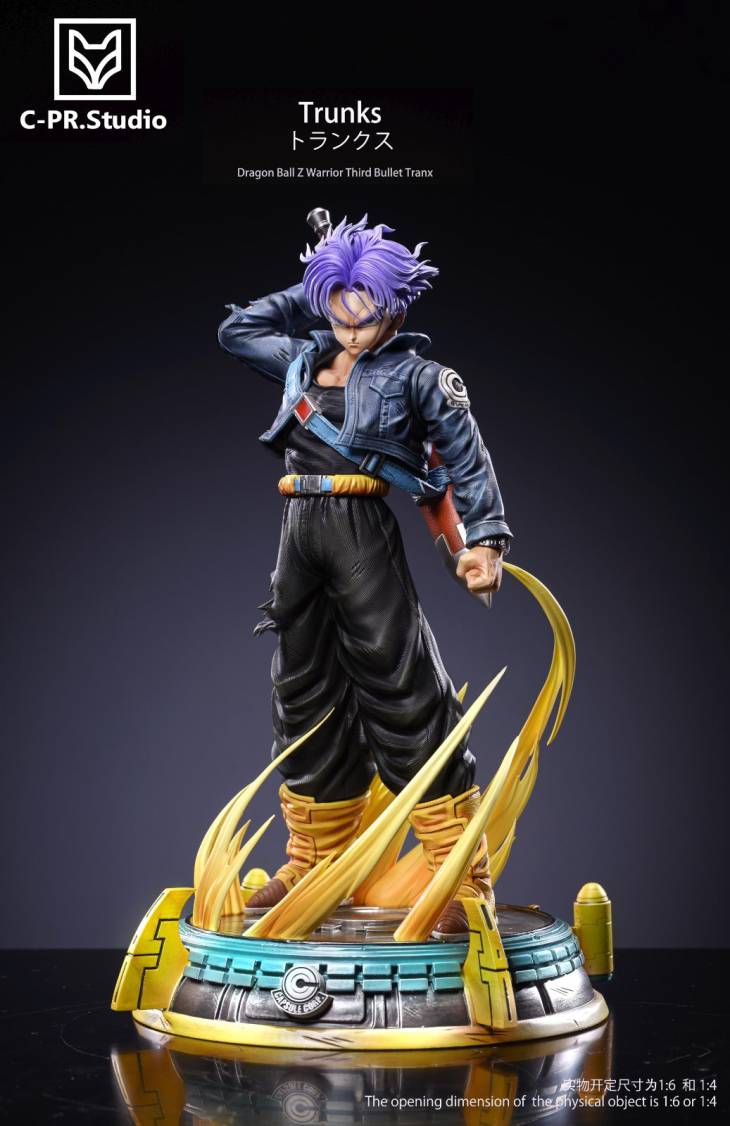 CPR - Trunks - Image 4