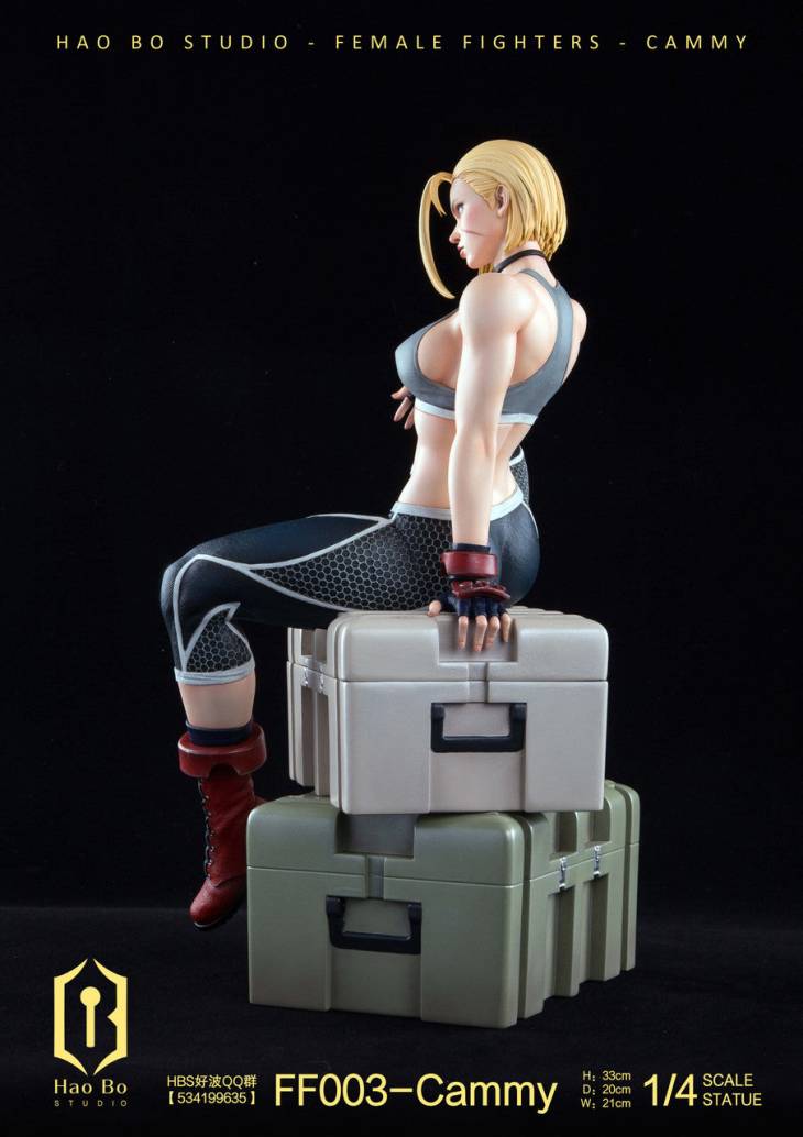 Haobo - Cammy - Image 12