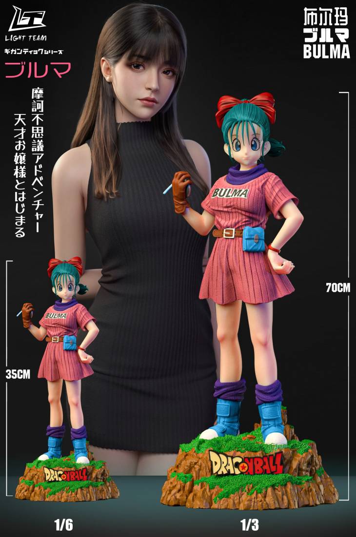 Light Team - Bulma - Image 4