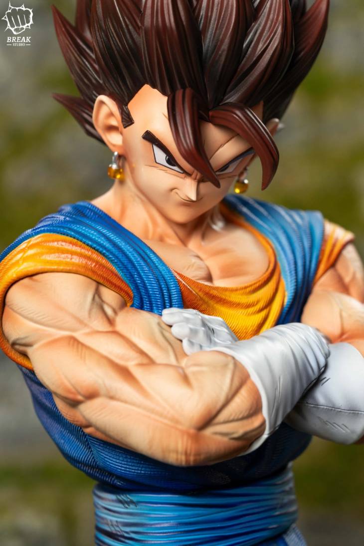 Break - Vegito - Image 11