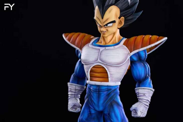 FY - Vegeta - Image 5