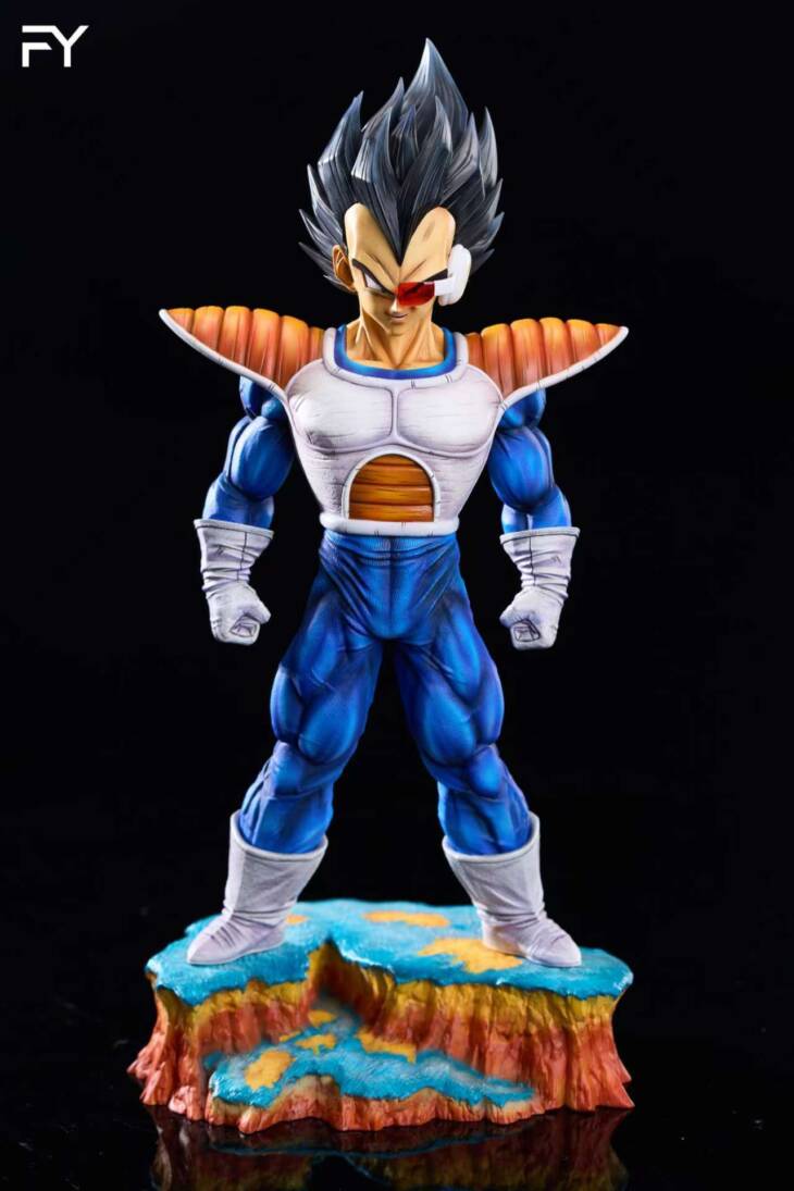 FY - Vegeta - Image 6