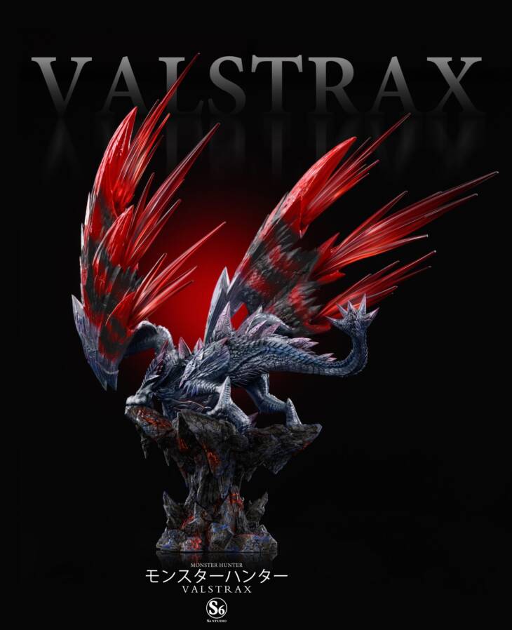 S6 - Valstrak - Image 6
